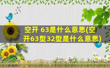 空开 63是什么意思(空开63型32型是什么意思)